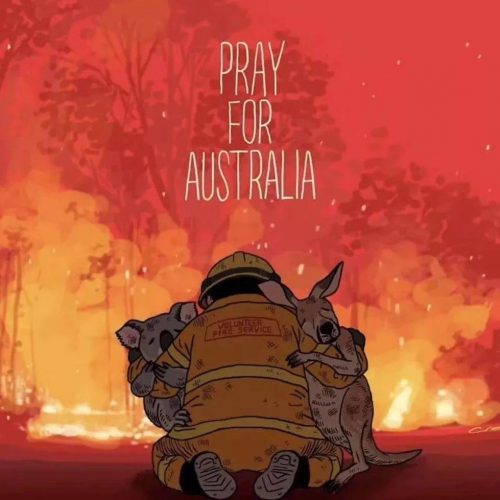 助力澳洲山火扑灭，谢谢你们的援手。