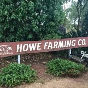土澳五星农场之：Howe Farm香蕉厂 集二签篇
